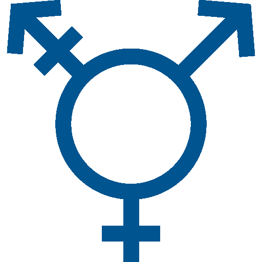 Icono de género e identidad