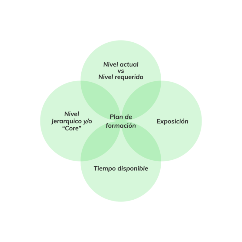 Gráfico del plan de formación de la Consultoría