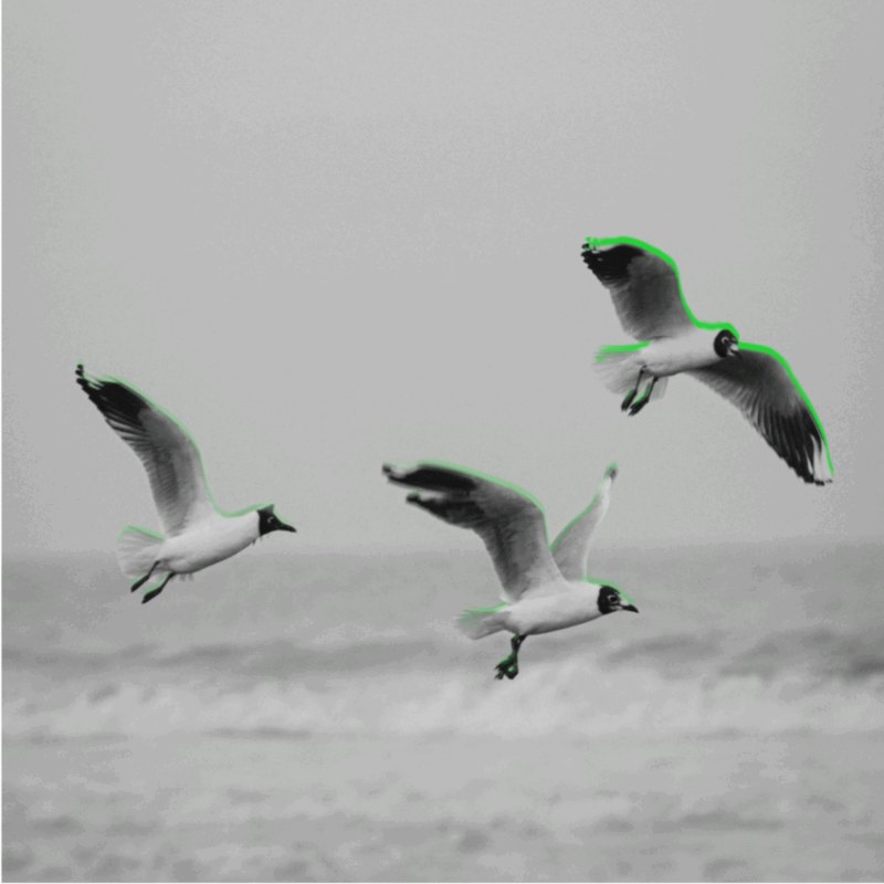 4b6d7aa4f64973c7a5ac0f42f381b064-1024x1024