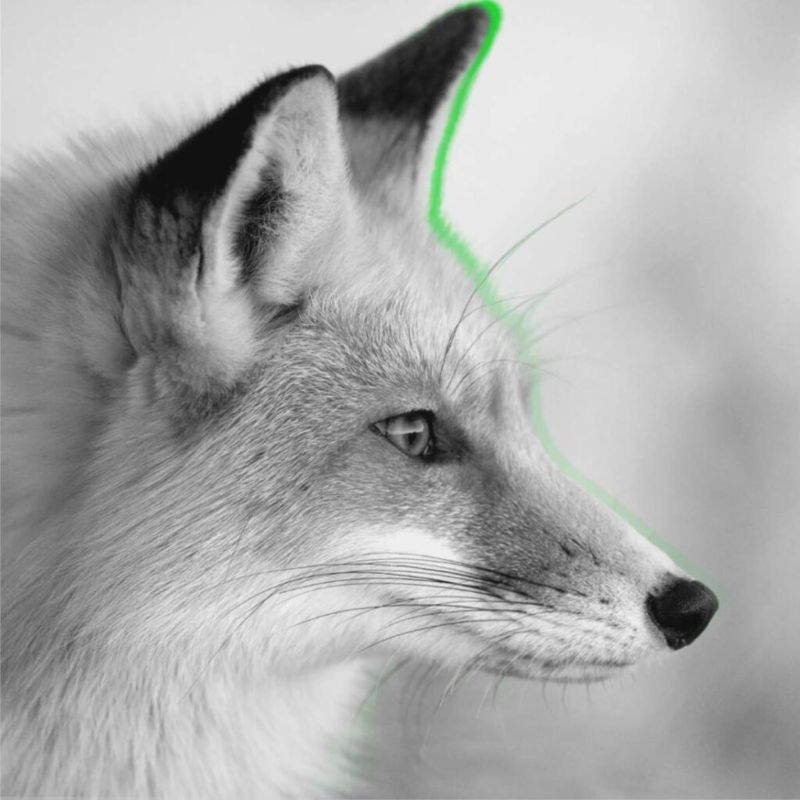 Capacitaciones en habilidades profesionales BN