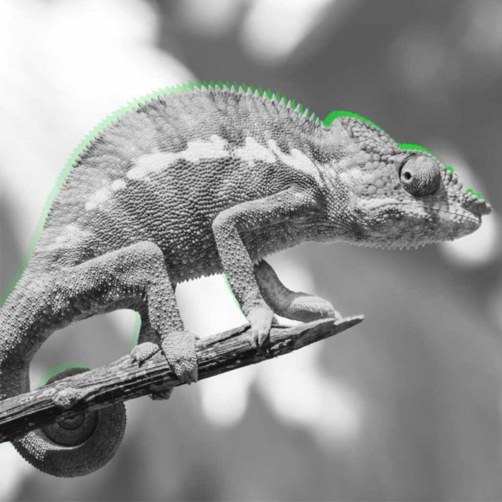 Protocolos de negociación internacional BN