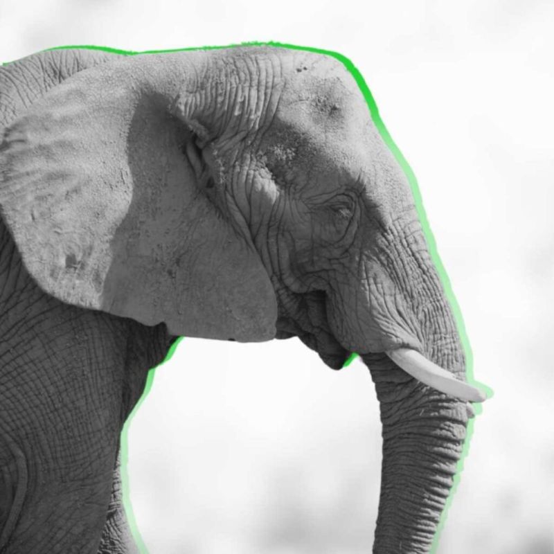 Gestión del cambio y transformación cultural BN